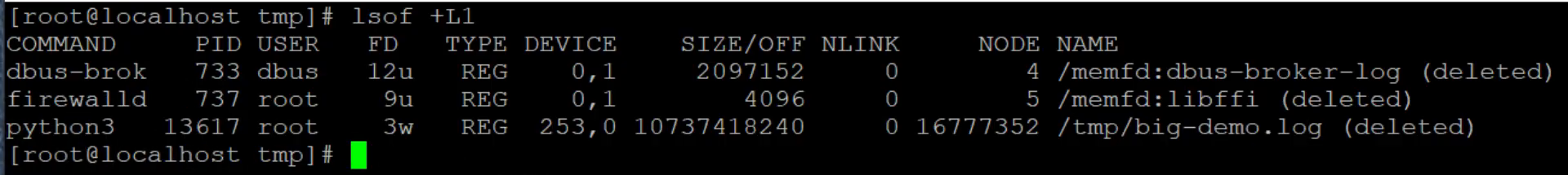 lsof +L1 identifies Python PID 13617 with descriptor 3w holding the deleted 10737418240-byte file, whose link count is zero.